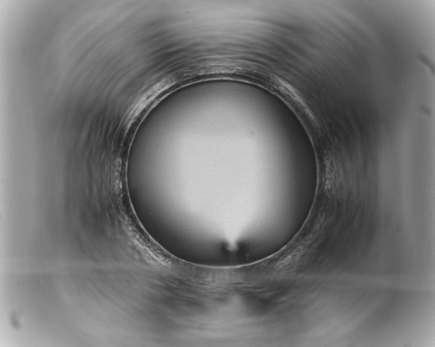 X0000099530786200805301439