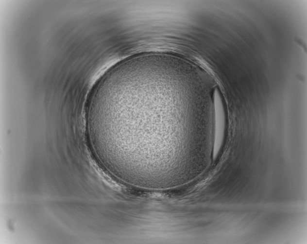 X0000099530787200805301439