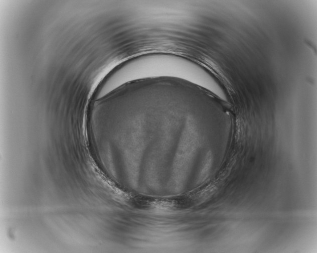 X0000099530788200805301439