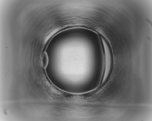 X0000099530789200805301439