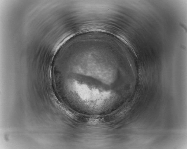 X0000099530790200805301439