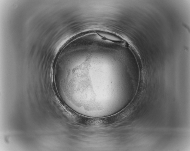 X0000099530791200805301439