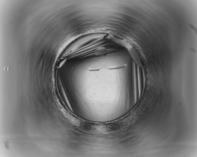 X0000099530792200805301439