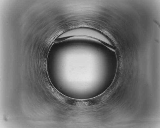 X0000099530793200805301439