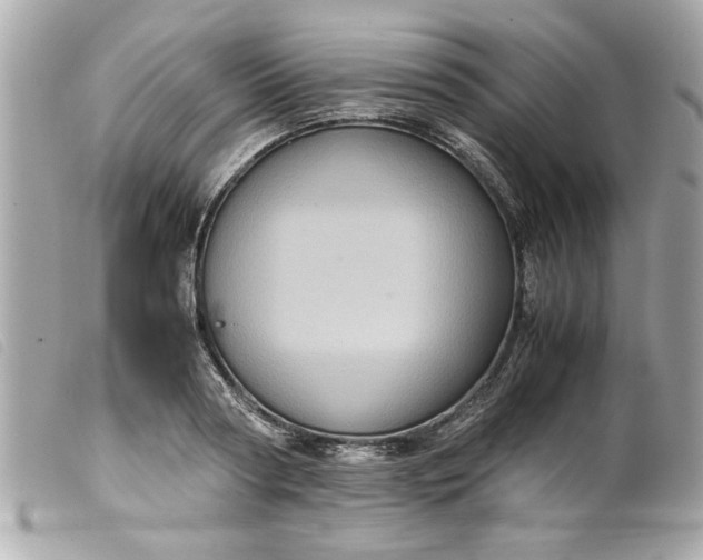 X0000099530794200805301439