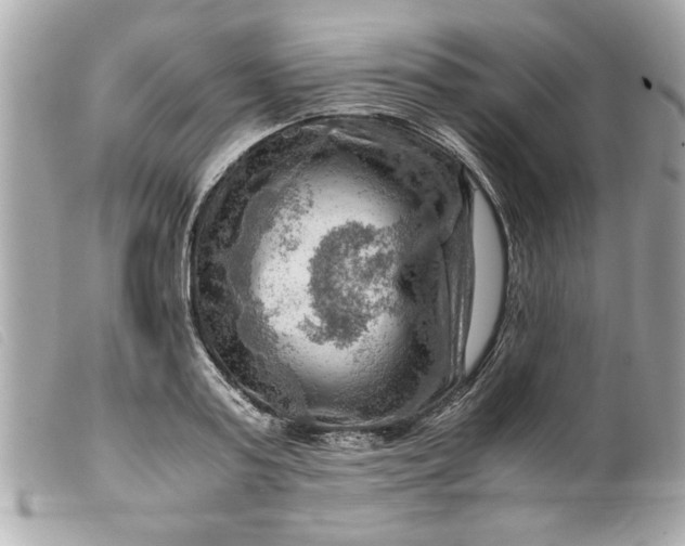 X0000099530795200805301439