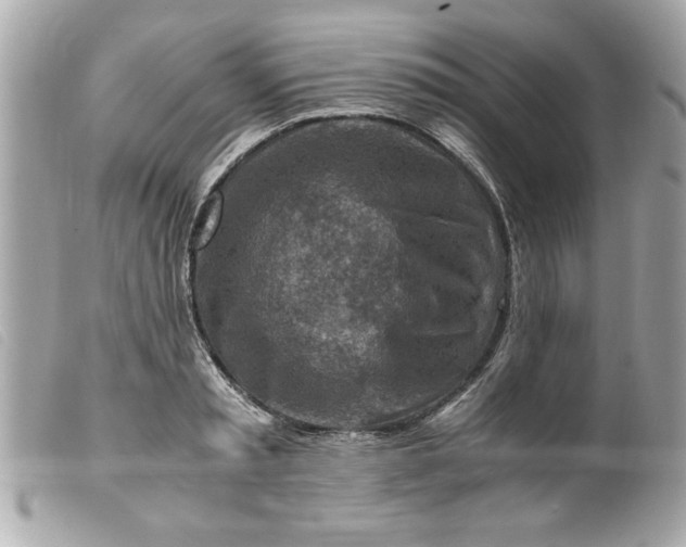 X0000099530797200805301439