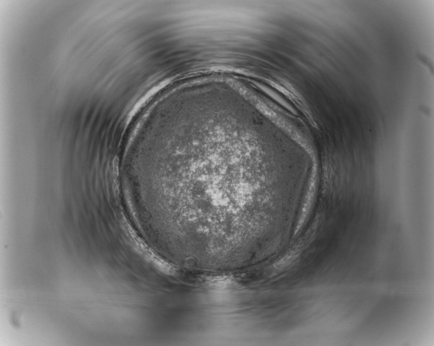 X0000099530798200805301439