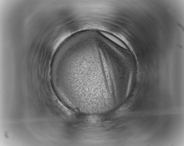 X0000099530799200805301439