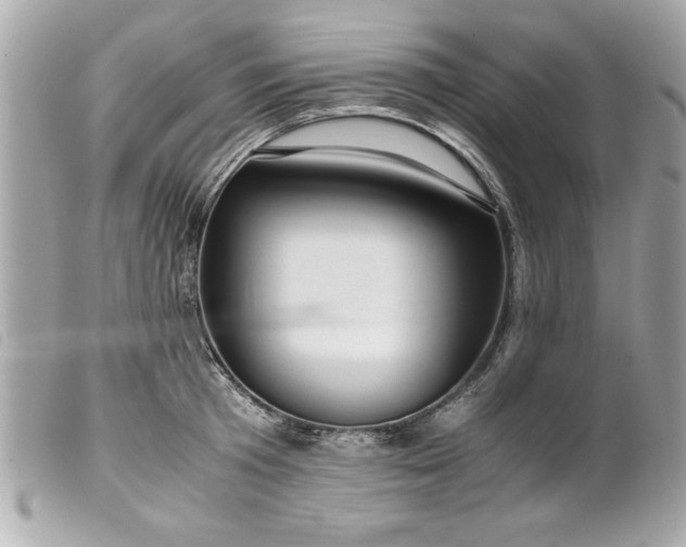 X0000099530801200805301439