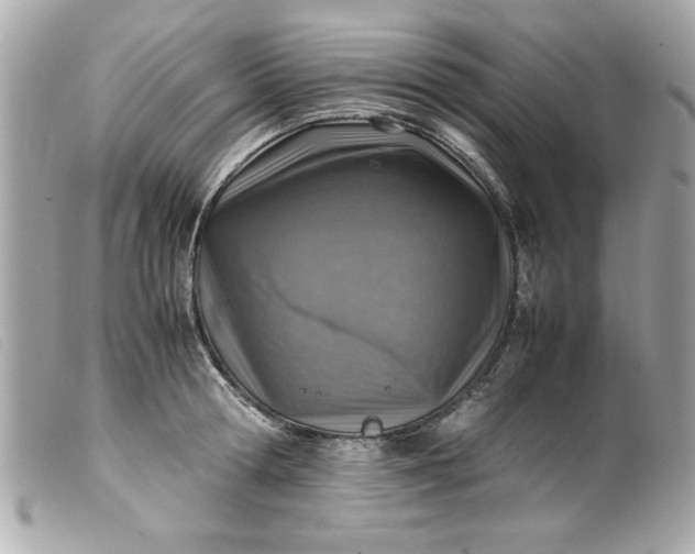 X0000099530802200805301439