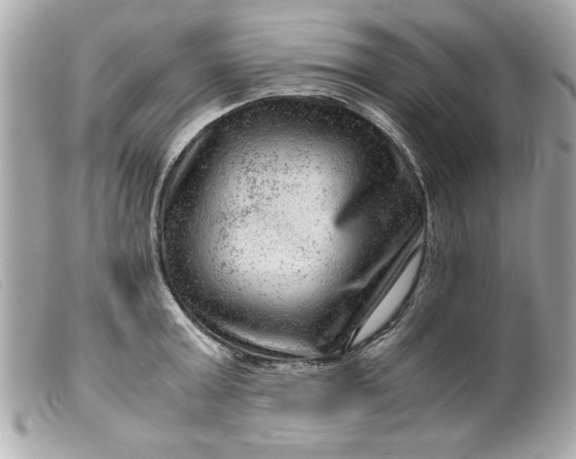 X0000099530803200805301439