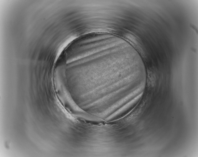 X0000099530804200805301439