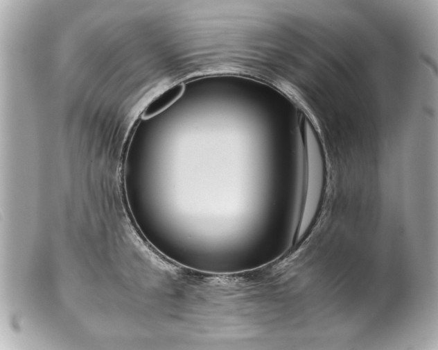 X0000099530805200805301439