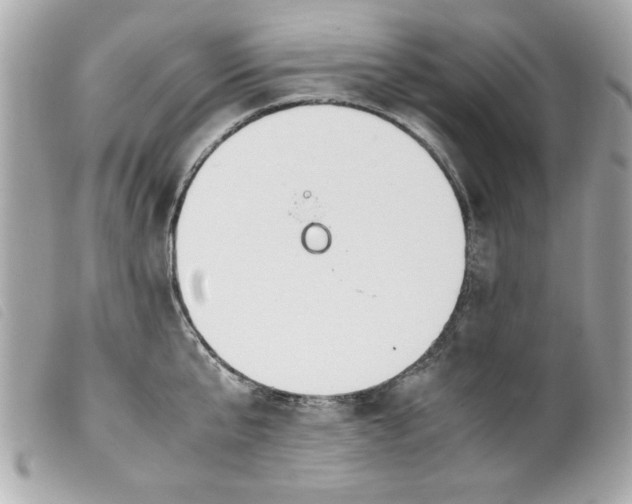 X0000099530807200805301438