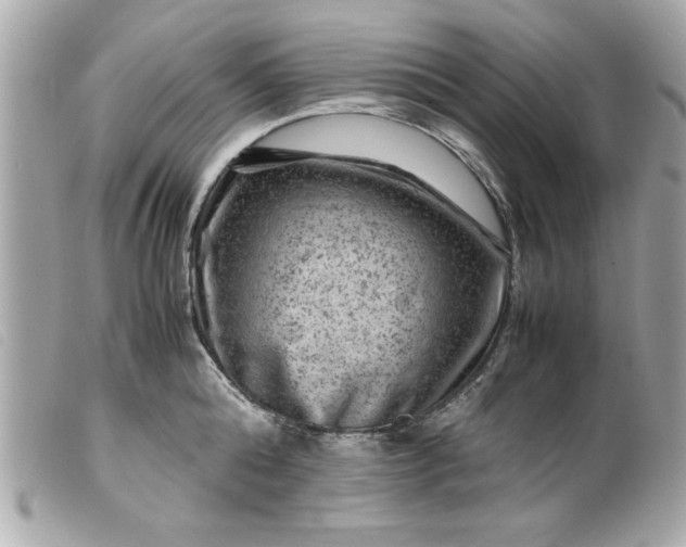 X0000099530808200805301438