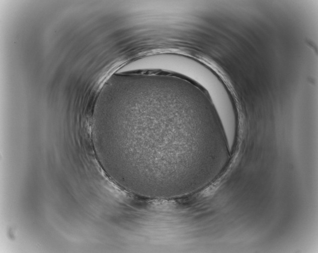 X0000099530809200805301438