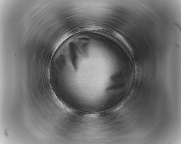 X0000099530810200805301438