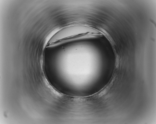 X0000099530812200805301438