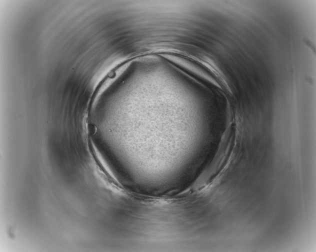 X0000099530814200805301438