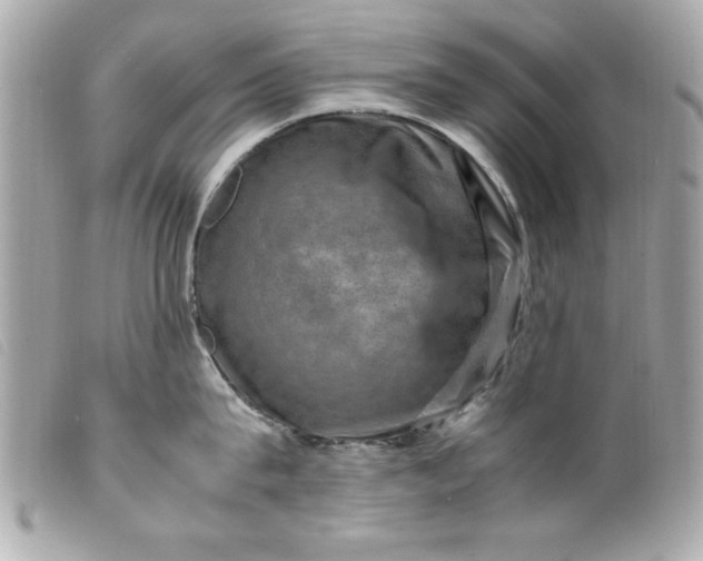 X0000099530815200805301438