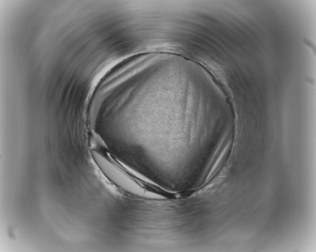 X0000099530816200805301438