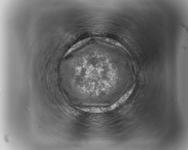 X0000099530817200805301438