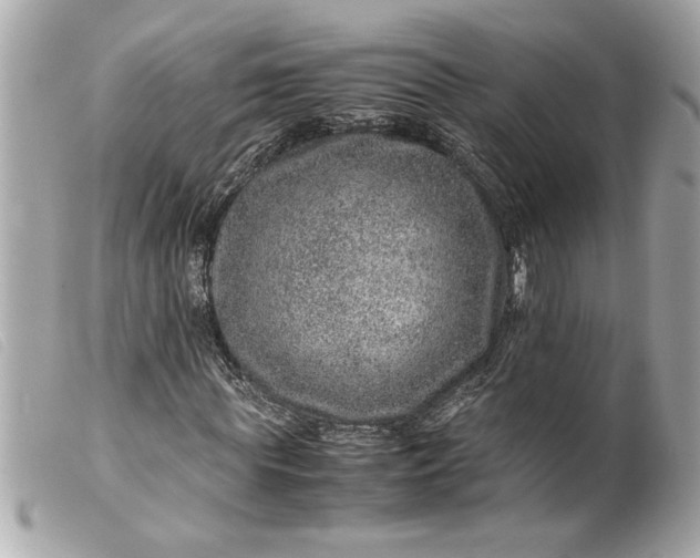 X0000099530819200805301438