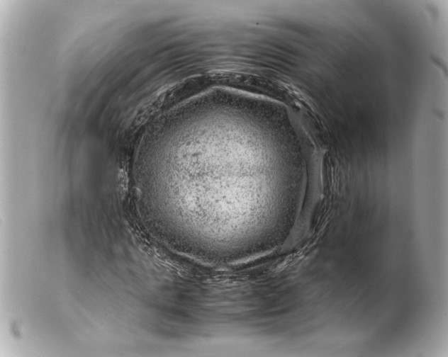 X0000099530821200805301438