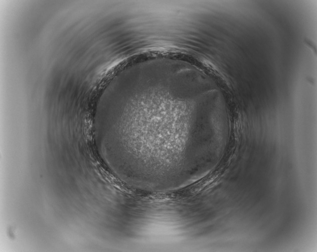 X0000099530822200805301438