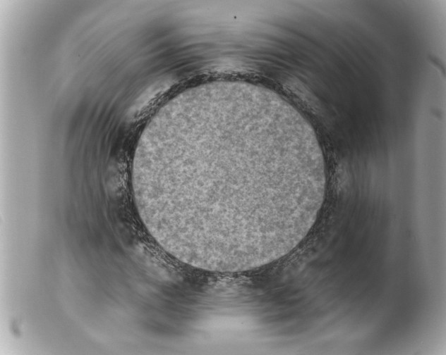 X0000099530824200805301438