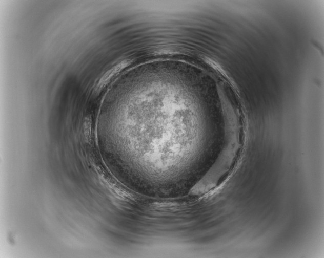 X0000099530825200805301438