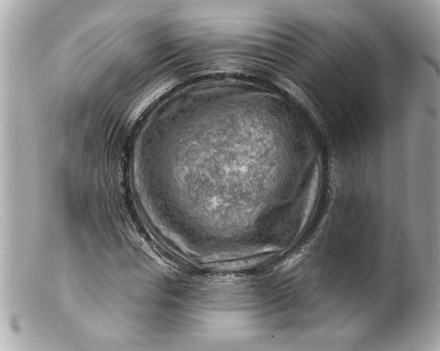 X0000099530826200805301438