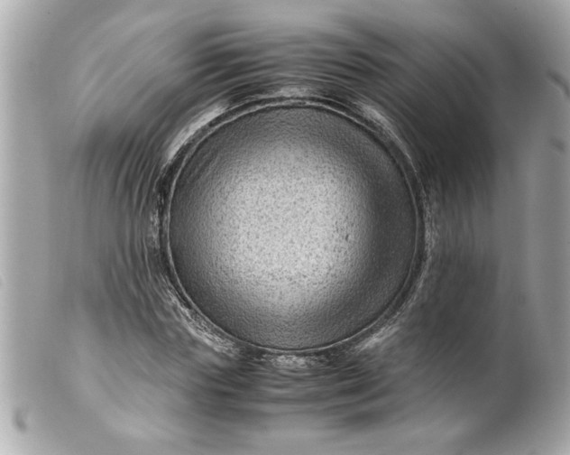 X0000099530827200805301438