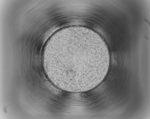 X0000099530828200805301438