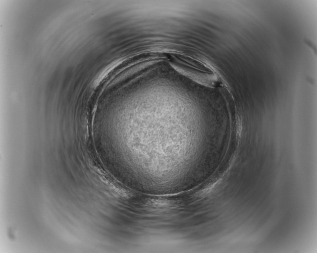 X0000099530829200805301438