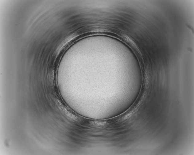 X0000099530831200805301438