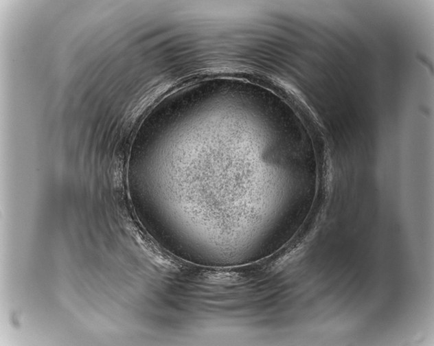 X0000099530833200805301438