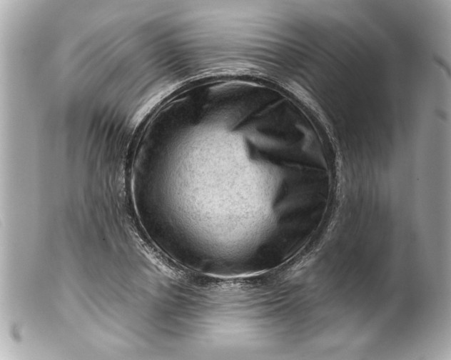 X0000099530834200805301438