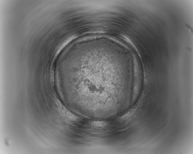 X0000099530835200805301438