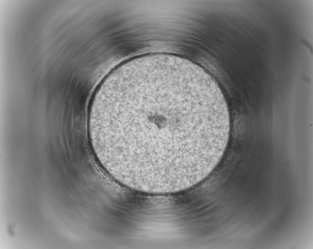 X0000099530836200805301438