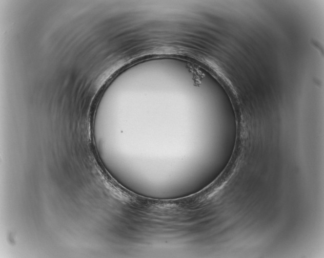 X0000099530837200805301438