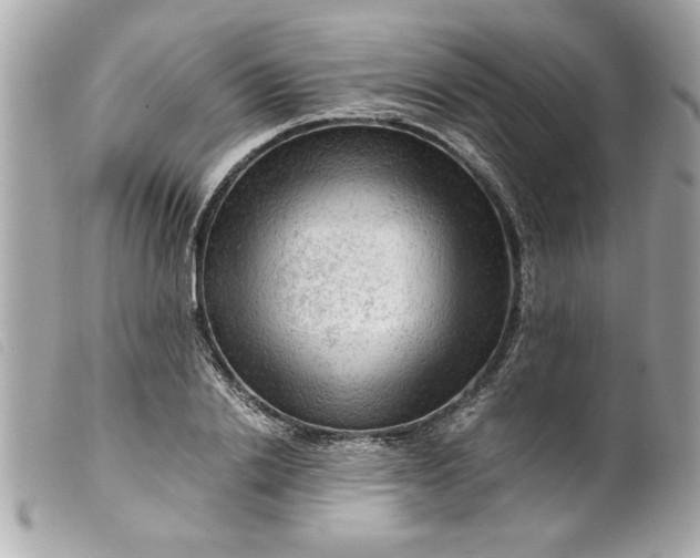 X0000099530838200805301438