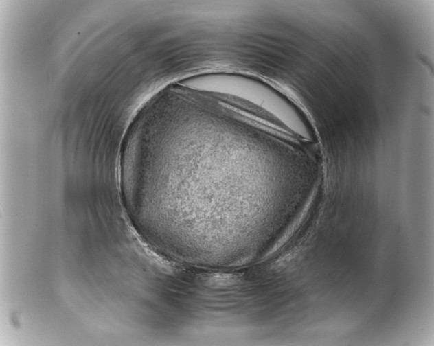 X0000099530839200805301438