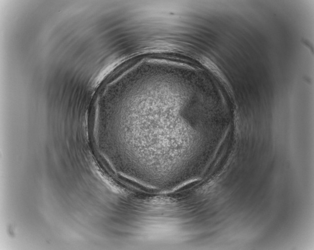 X0000099530842200805301438