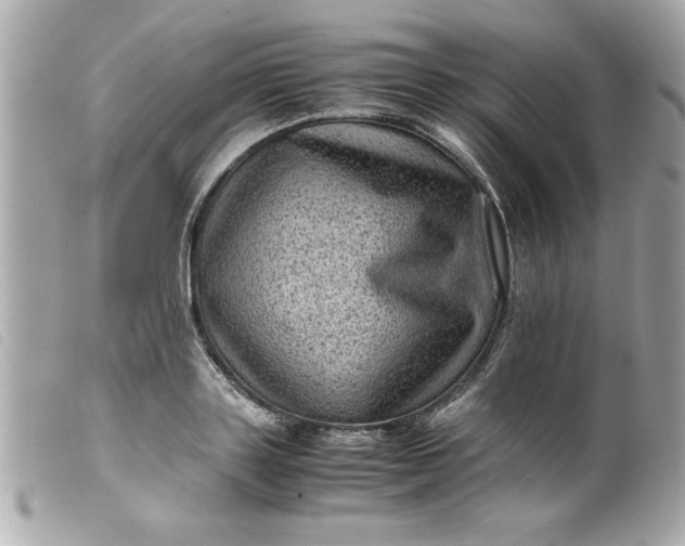 X0000099530843200805301438