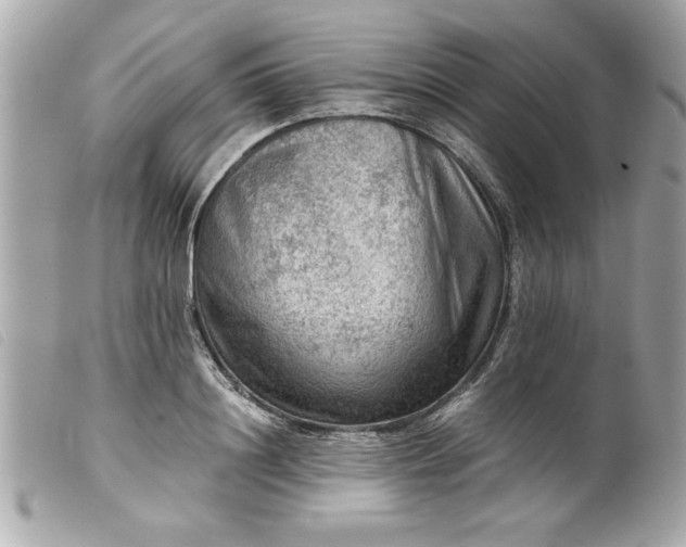 X0000099530844200805301438