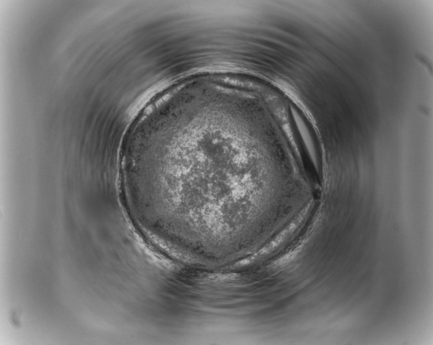 X0000099530845200805301438