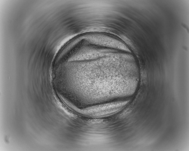 X0000099530846200805301438