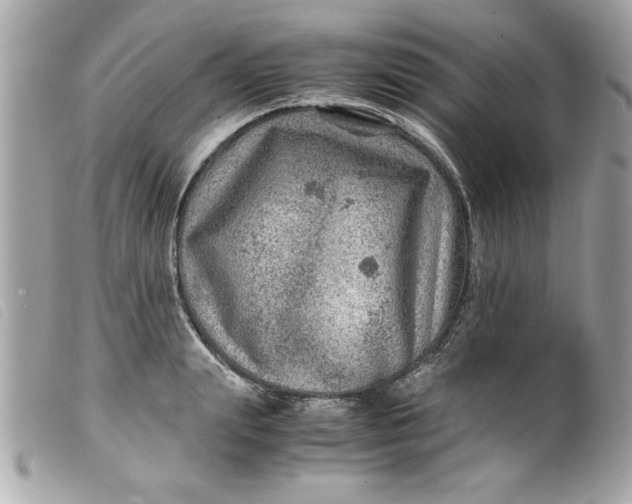 X0000099530847200805301438